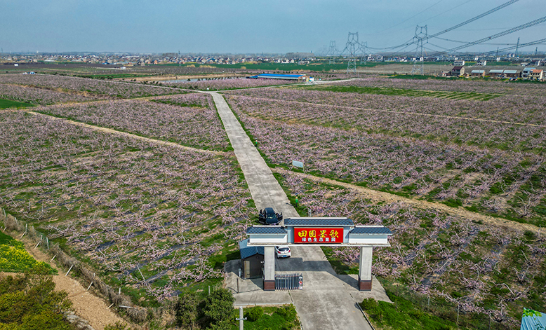 縣農(nóng)業(yè)園田園墨歌生態(tài)果園