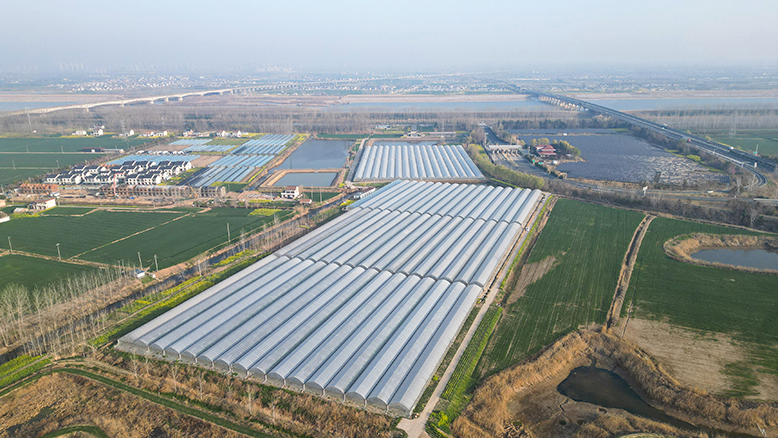 蔡橋鎮(zhèn)永裕村東順農(nóng)業(yè)發(fā)展公司小龍蝦基地