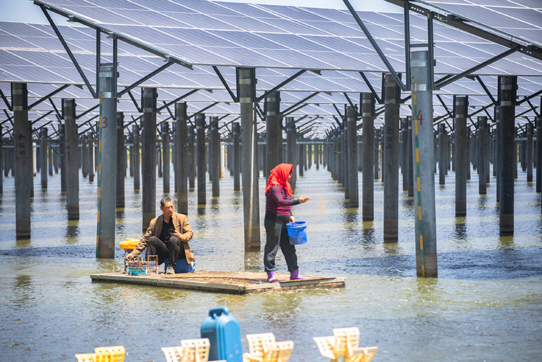 濱海經濟開發(fā)區(qū)漁光互補項目