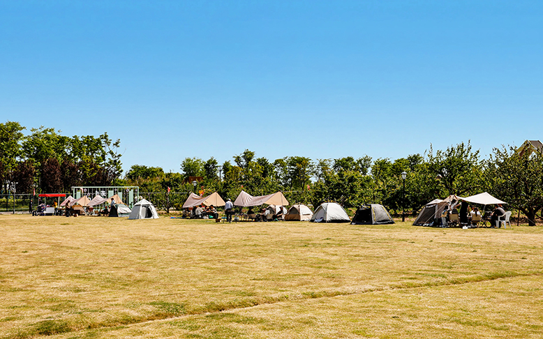 梨花語景區(qū)推出系列特色活動