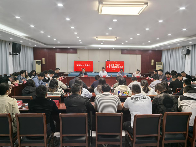 青春揚(yáng)正氣 清廉伴我行——五汛鎮(zhèn)青年干部廉潔教育活動(dòng)側(cè)記
