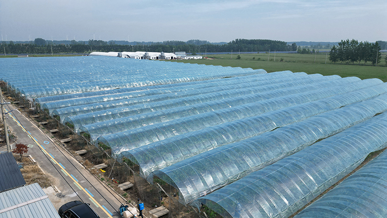 界牌鎮(zhèn)竹林天下家庭農(nóng)場