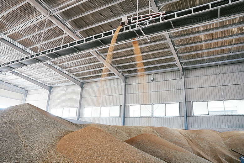 我縣加快夏糧收儲(chǔ)和烘干進(jìn)度