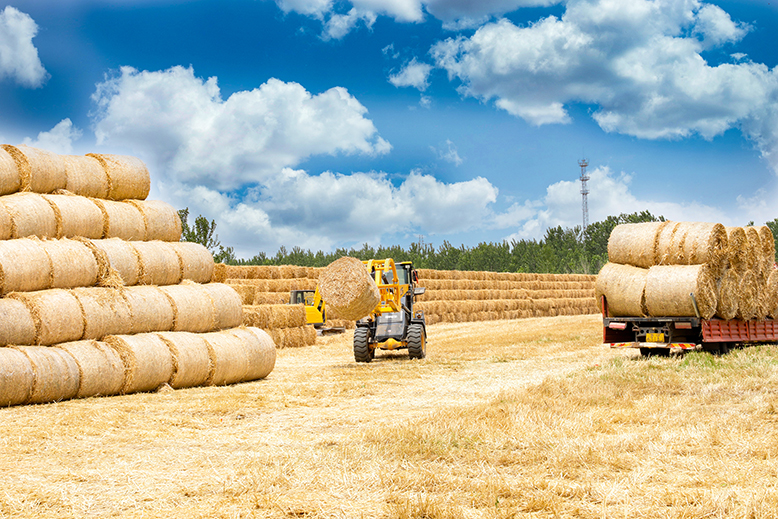 陳濤鎮(zhèn)全力做好秸稈離田工作