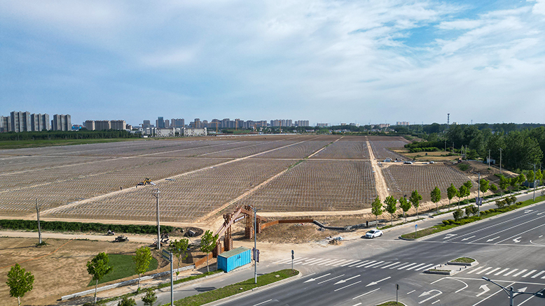 坎北街道都市農(nóng)業(yè)項(xiàng)目