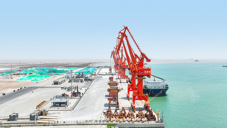 濱海港產(chǎn)品出口業(yè)務(wù)呈現(xiàn)良好發(fā)展態(tài)勢(shì)