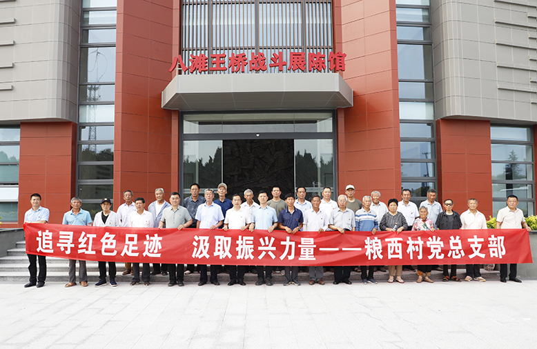 八灘鎮(zhèn)糧西村開展主題黨日活動