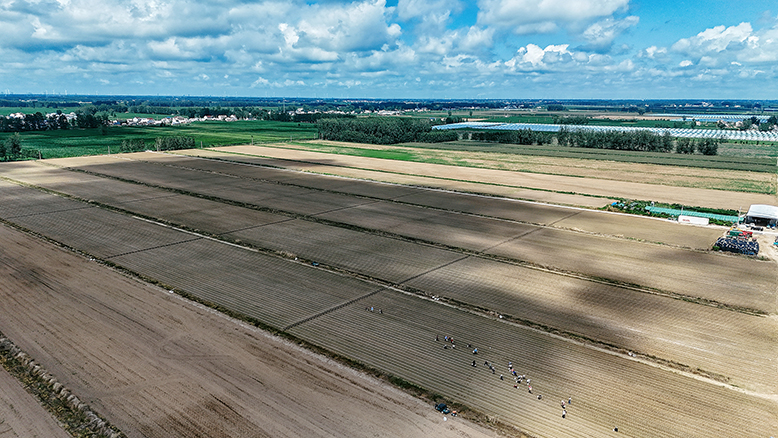 濱海杰中生態(tài)農(nóng)業(yè)發(fā)展有限公司西藍(lán)花種植基地