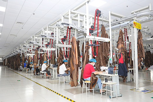 成卓健康科技公司