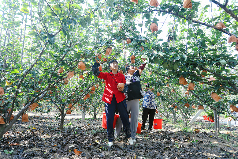 濱?？抵瓷鷳B(tài)農(nóng)業(yè)發(fā)展有限公司