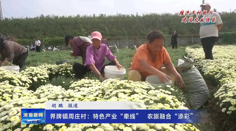 【推進(jìn)鄉(xiāng)村振興建設(shè)農(nóng)業(yè)強(qiáng)縣】界牌鎮(zhèn)周莊村：特